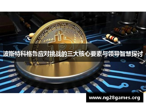 波斯特科格鲁应对挑战的三大核心要素与领导智慧探讨 波斯特科格鲁应对挑战的三大核心要素与领导智慧探讨